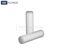 Filtro plissado 0.22 micras, 0.45 micras 10