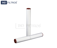 Filtro  Plisasdo Absoluto Bacteriológico 20